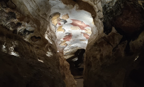 Inside a Womb
